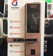 丽水指纹锁